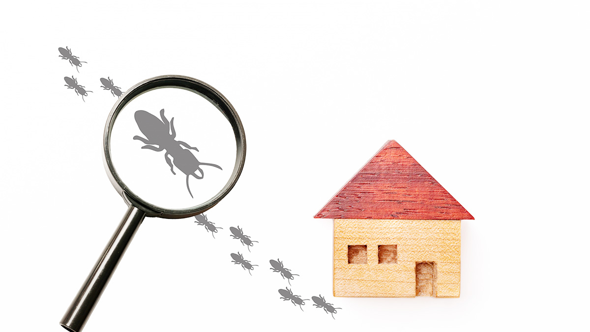 住宅のシロアリ被害イラスト